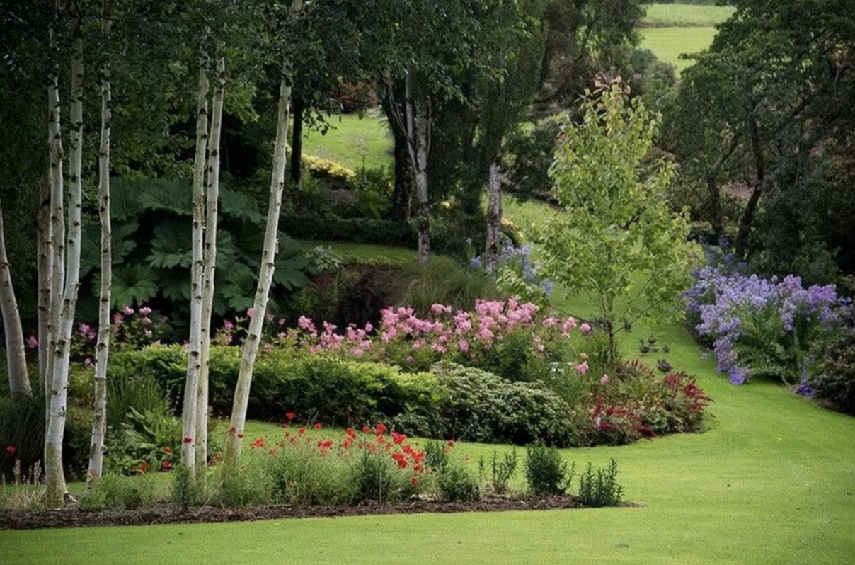 Русский ландшафт. Сад Maple Glen Garden, новая Зеландия. В частный сад Maple Glen. Сад Maple Glen в новой Зеландии фото. Сад в пейзажном стиле в Подмосковье.